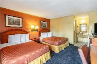 Red Carpet - Hotel 2*