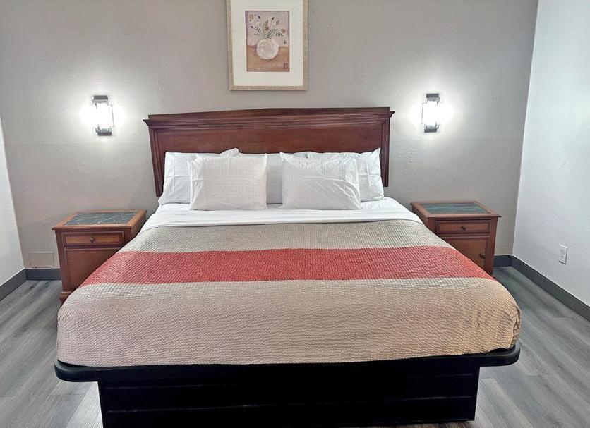 Red Carpet - Hotel