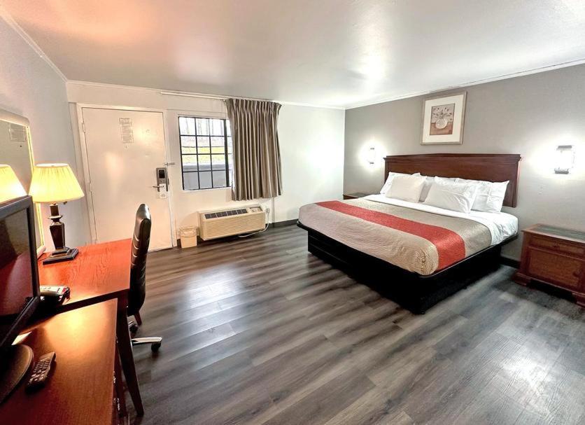 Red Carpet - Hotel