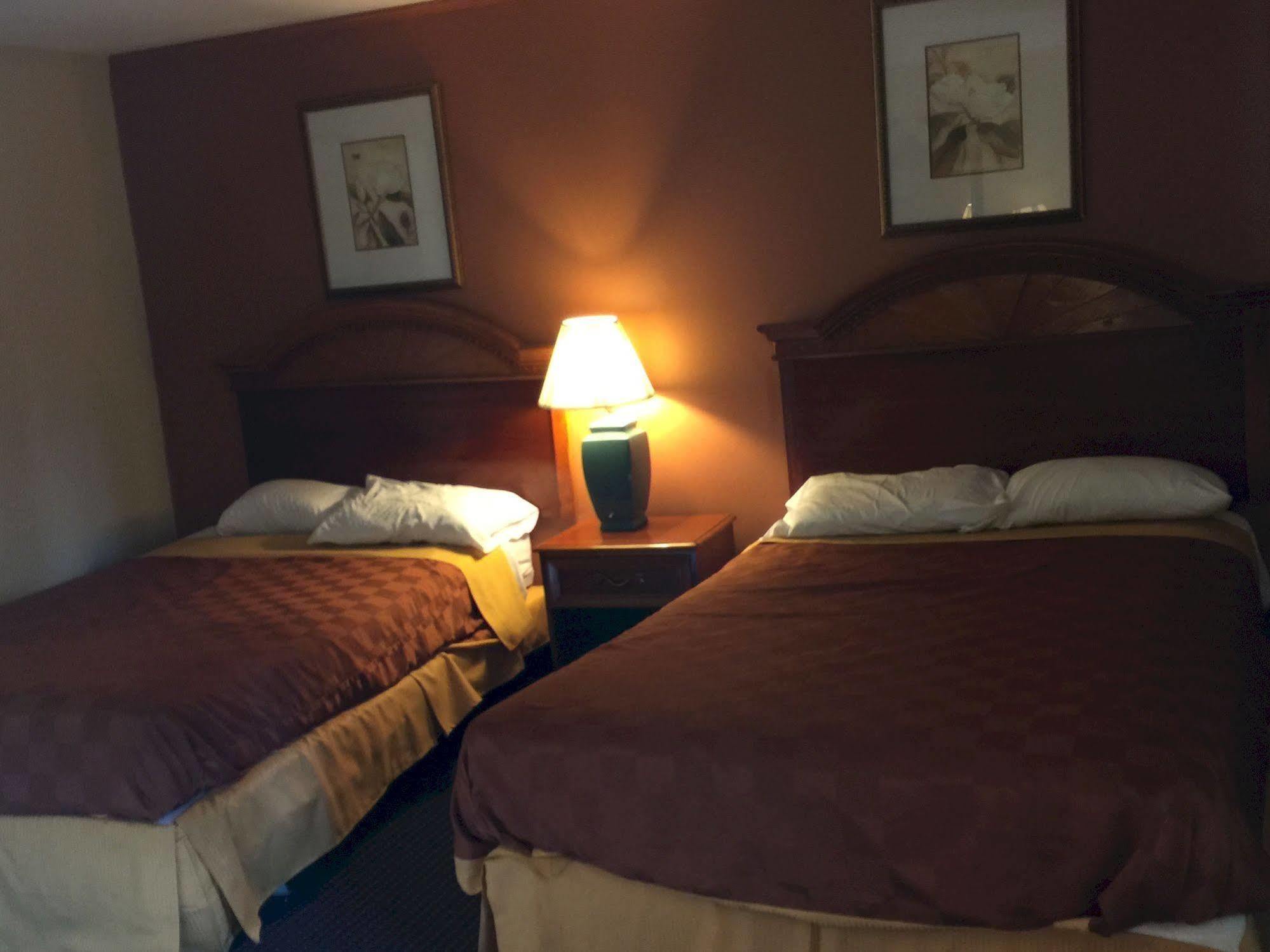 Red Carpet - Hotel